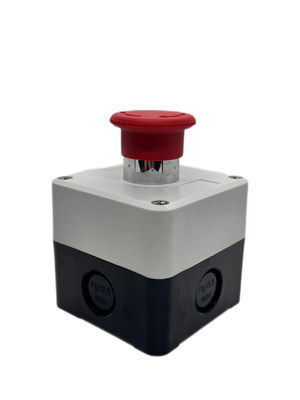 ซื้อ SK-1RL ปุ่มกดสี่เหลี่ยมแข็งแรง 440V สีดํา สีขาว สีเหลือง การผลิตออนไลน์